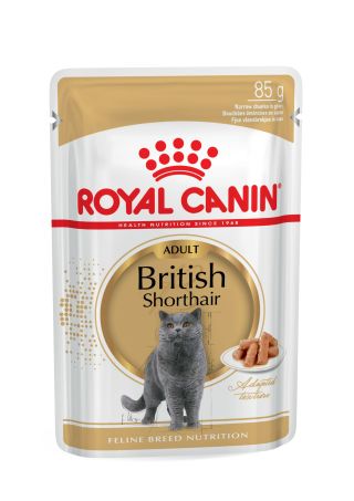 British Shorthair Adult (in gravy)